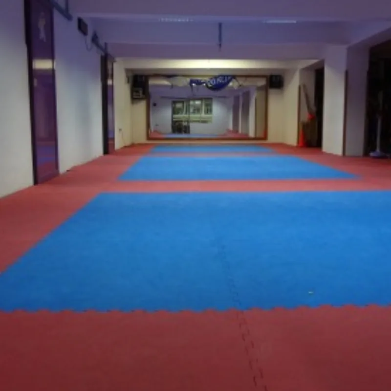 Klupska dvorana HAD